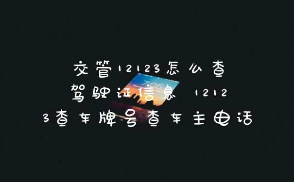 交管12123怎么查驾驶证信息 12123查车牌号查车主电话