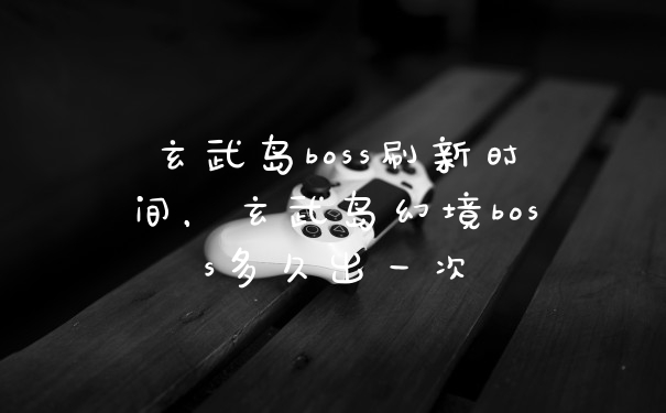 玄武岛boss刷新时间，玄武岛幻境boss多久出一次
