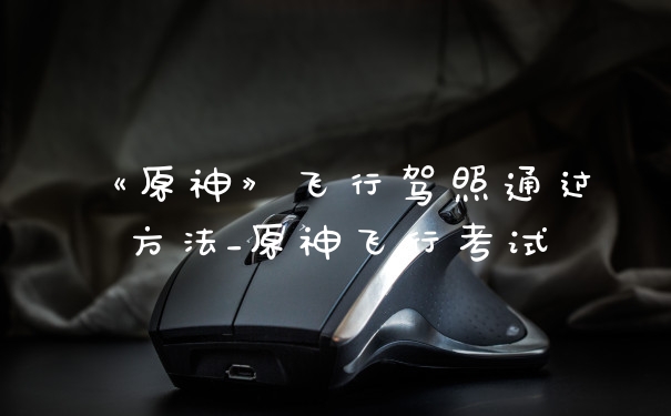 《原神》飞行驾照通过方法_原神飞行考试