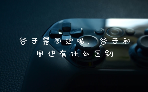 谷子是周边吗，谷子和周边有什么区别