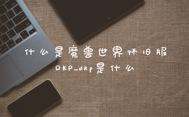 什么是魔兽世界怀旧服DKP_dkp是什么