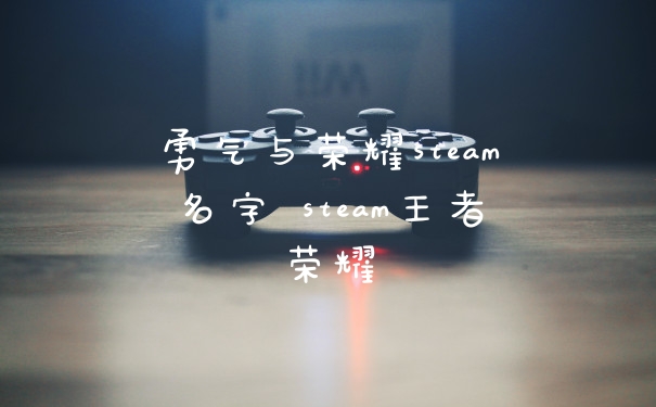 勇气与荣耀steam名字 steam王者荣耀