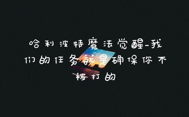 哈利波特魔法觉醒_我们的任务就是确保你不被打的