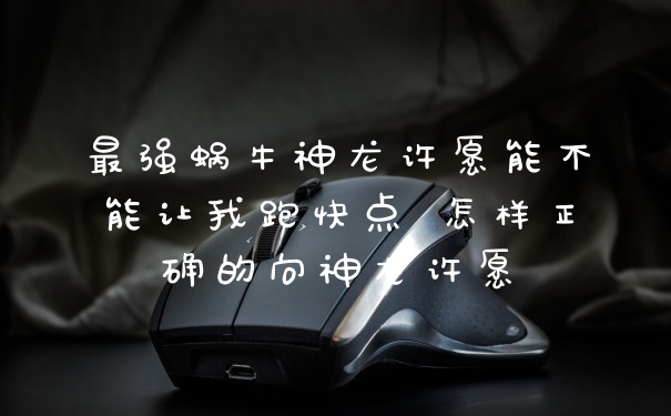 最强蜗牛神龙许愿能不能让我跑快点 怎样正确的向神龙许愿