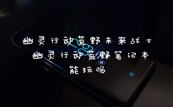 幽灵行动荒野未来战士 幽灵行动荒野笔记本能玩吗