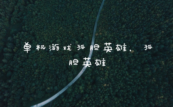 单机游戏孤胆英雄，孤胆英雄