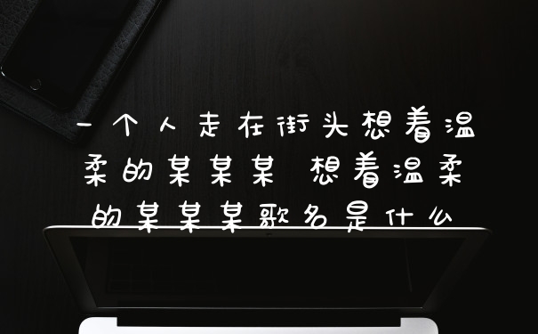 一个人走在街头想着温柔的某某某 想着温柔的某某某歌名是什么