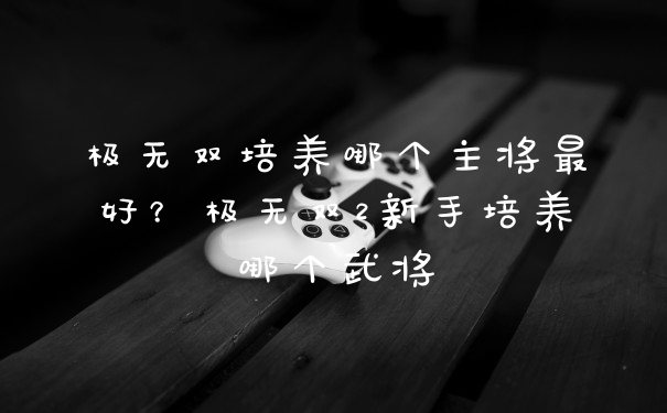 极无双培养哪个主将最好？极无双2新手培养哪个武将