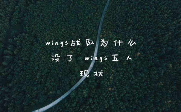 wings战队为什么没了 wings五人现状