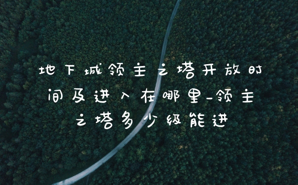 地下城领主之塔开放时间及进入在哪里_领主之塔多少级能进