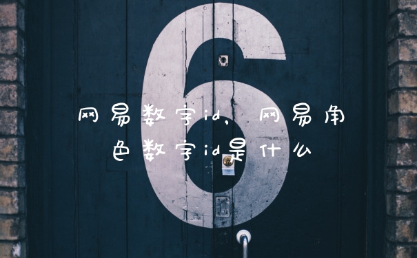 网易数字id，网易角色数字id是什么