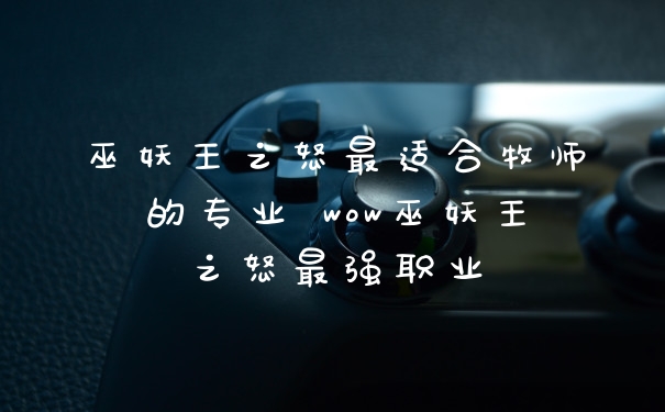巫妖王之怒最适合牧师的专业 wow巫妖王之怒最强职业