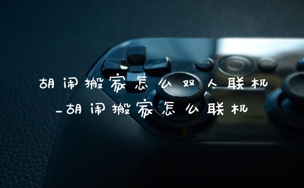 胡闹搬家怎么双人联机_胡闹搬家怎么联机