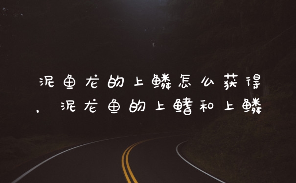 泥鱼龙的上鳞怎么获得，泥龙鱼的上鳍和上鳞