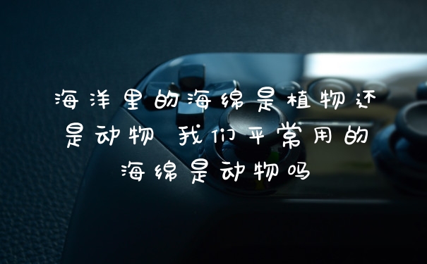 海洋里的海绵是植物还是动物 我们平常用的海绵是动物吗
