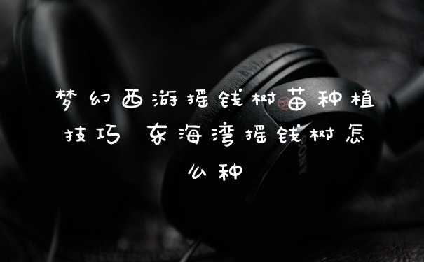 梦幻西游摇钱树苗种植技巧 东海湾摇钱树怎么种