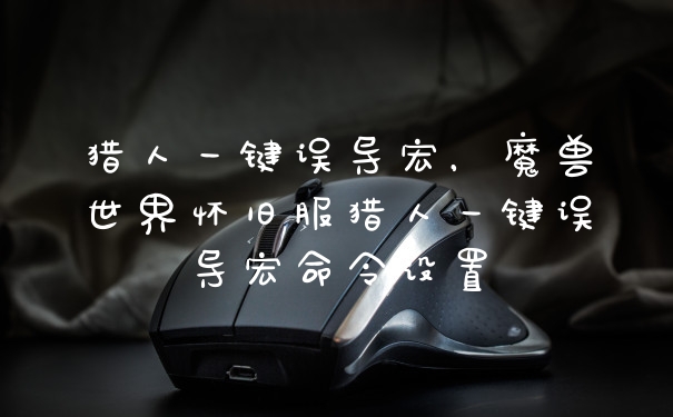 猎人一键误导宏，魔兽世界怀旧服猎人一键误导宏命令设置