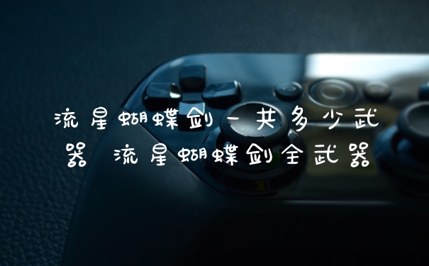 流星蝴蝶剑一共多少武器 流星蝴蝶剑全武器
