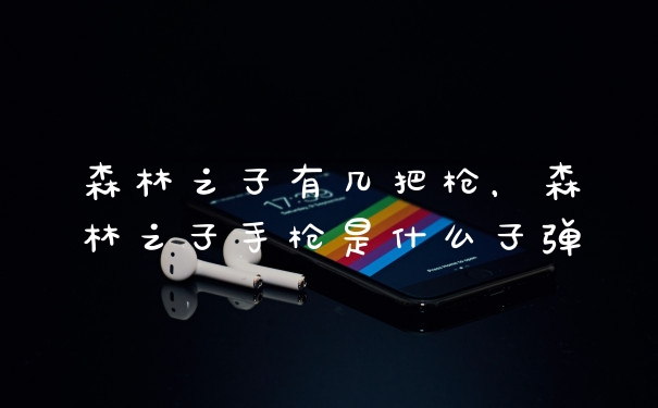 森林之子有几把枪，森林之子手枪是什么子弹