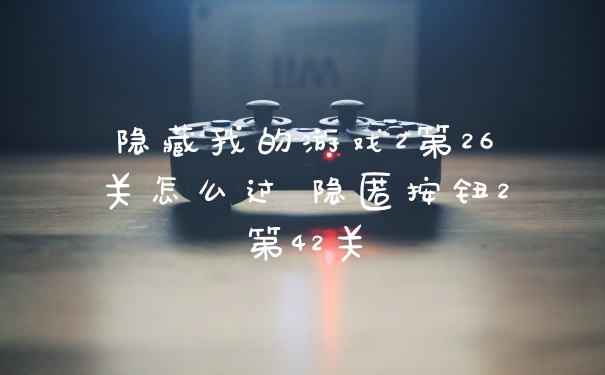隐藏我的游戏2第26关怎么过 隐匿按钮2第42关