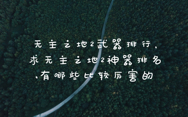 无主之地2武器排行，求无主之地2神器排名,有哪些比较厉害的