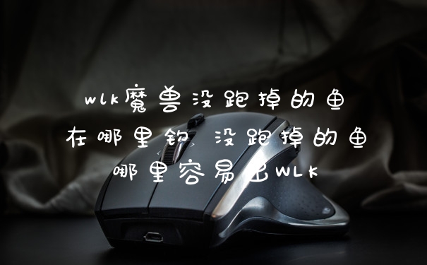 wlk魔兽没跑掉的鱼在哪里钓 没跑掉的鱼哪里容易出WLK