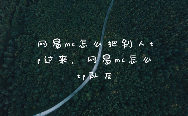 网易mc怎么把别人tp过来，网易mc怎么tp队友