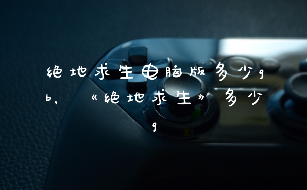 绝地求生电脑版多少gb，《绝地求生》多少g