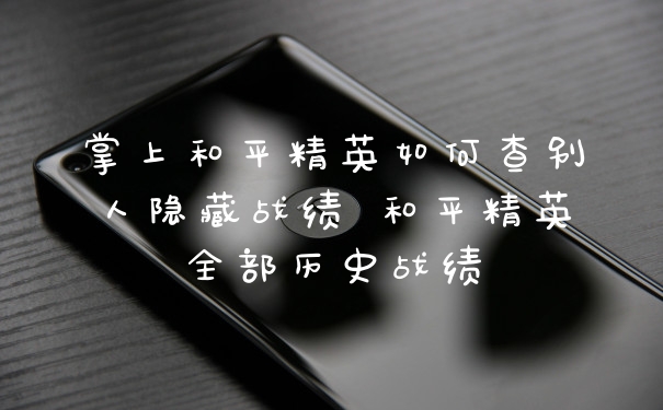 掌上和平精英如何查别人隐藏战绩 和平精英全部历史战绩