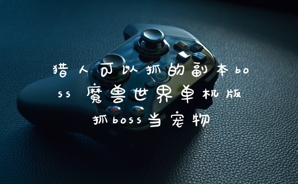 猎人可以抓的副本boss 魔兽世界单机版抓boss当宠物