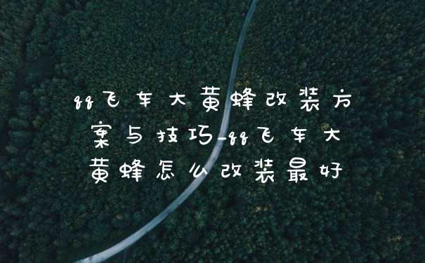 qq飞车大黄蜂改装方案与技巧_qq飞车大黄蜂怎么改装最好
