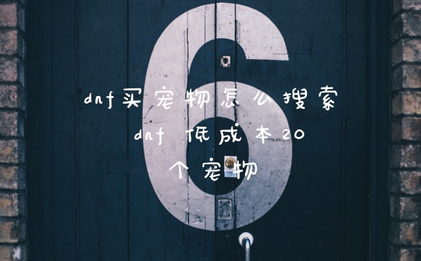 dnf买宠物怎么搜索 dnf 低成本20个宠物