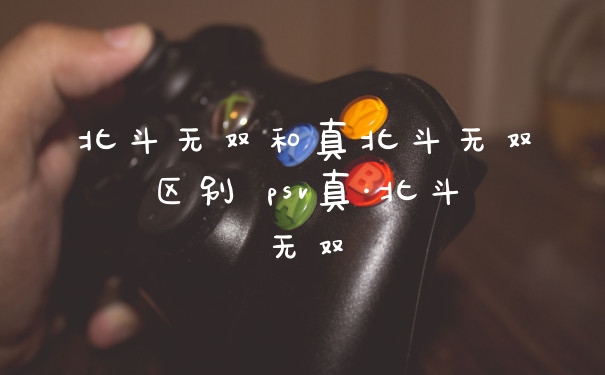 北斗无双和真北斗无双区别 psv真·北斗无双