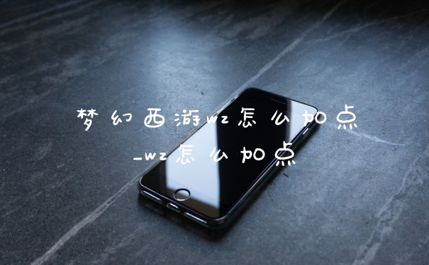 梦幻西游wz怎么加点_wz怎么加点