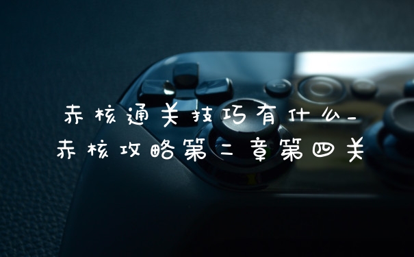 赤核通关技巧有什么_赤核攻略第二章第四关