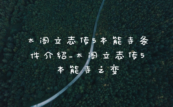 太阁立志传5本能寺条件介绍_太阁立志传5本能寺之变