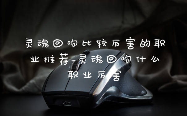 灵魂回响比较厉害的职业推荐_灵魂回响什么职业厉害