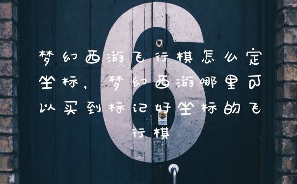 梦幻西游飞行棋怎么定坐标，梦幻西游哪里可以买到标记好坐标的飞行棋