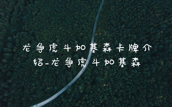龙争虎斗加基森卡牌介绍_龙争虎斗加基森