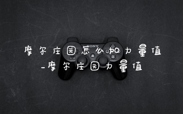 摩尔庄园怎么加力量值_摩尔庄园力量值