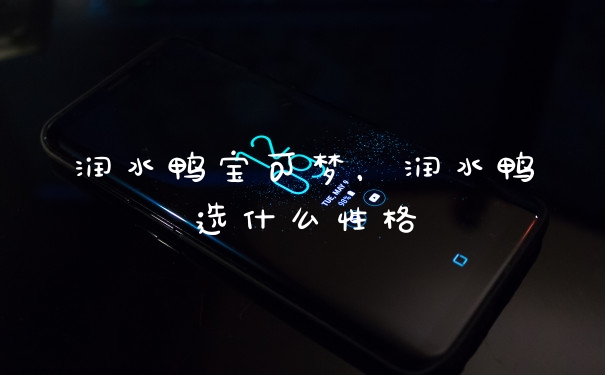 润水鸭宝可梦，润水鸭选什么性格
