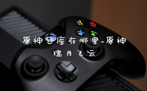 原神仓库在哪里_原神璃月飞云
