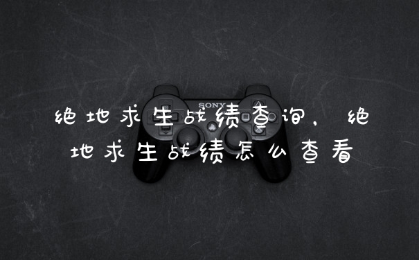 绝地求生战绩查询，绝地求生战绩怎么查看