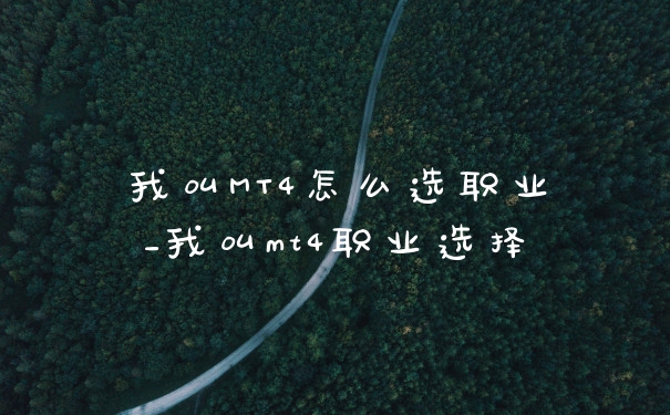 我叫MT4怎么选职业_我叫mt4职业选择