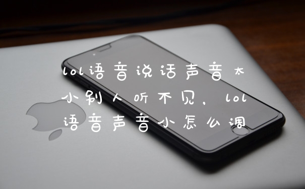 lol语音说话声音太小别人听不见,lol语音声音小怎么调