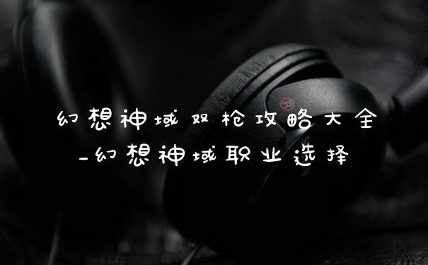 幻想神域双枪攻略大全_幻想神域职业选择