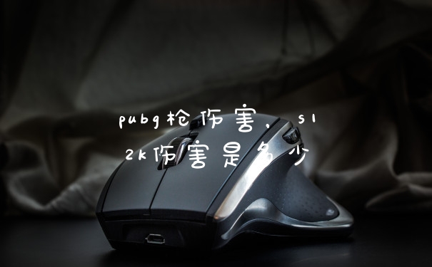 pubg枪伤害，s12k伤害是多少