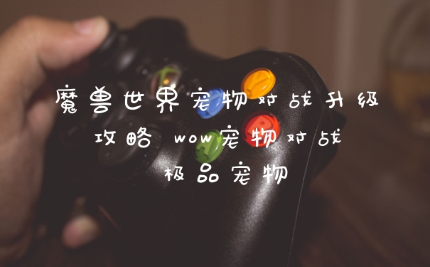 魔兽世界宠物对战升级攻略 wow宠物对战 极品宠物