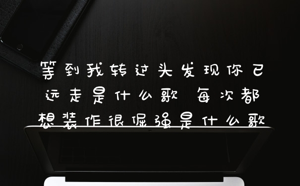 等到我转过头发现你已远走是什么歌 每次都想装作很倔强是什么歌