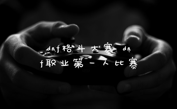 dnf格斗大赛 dnf职业第一人比赛